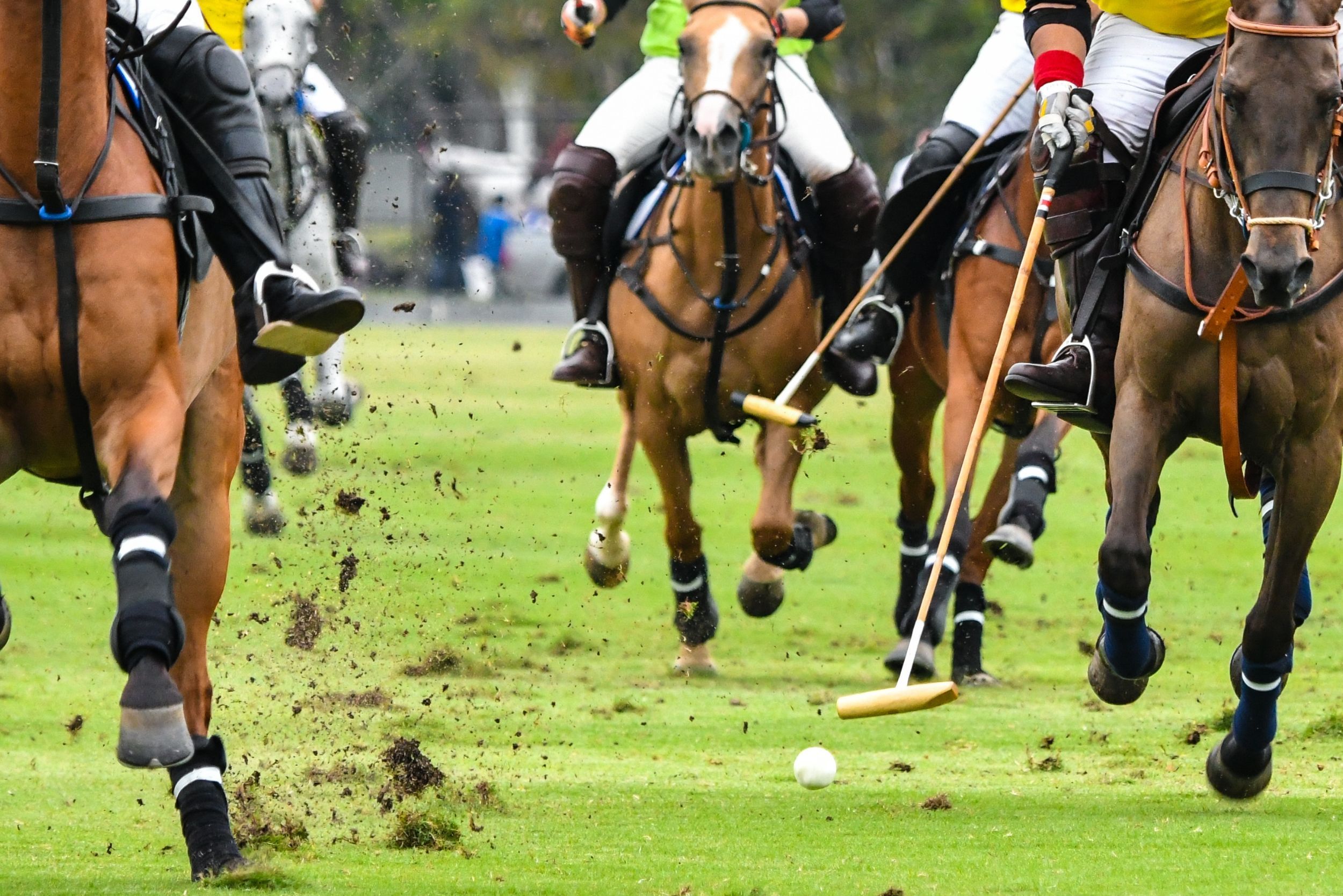 Horse polo