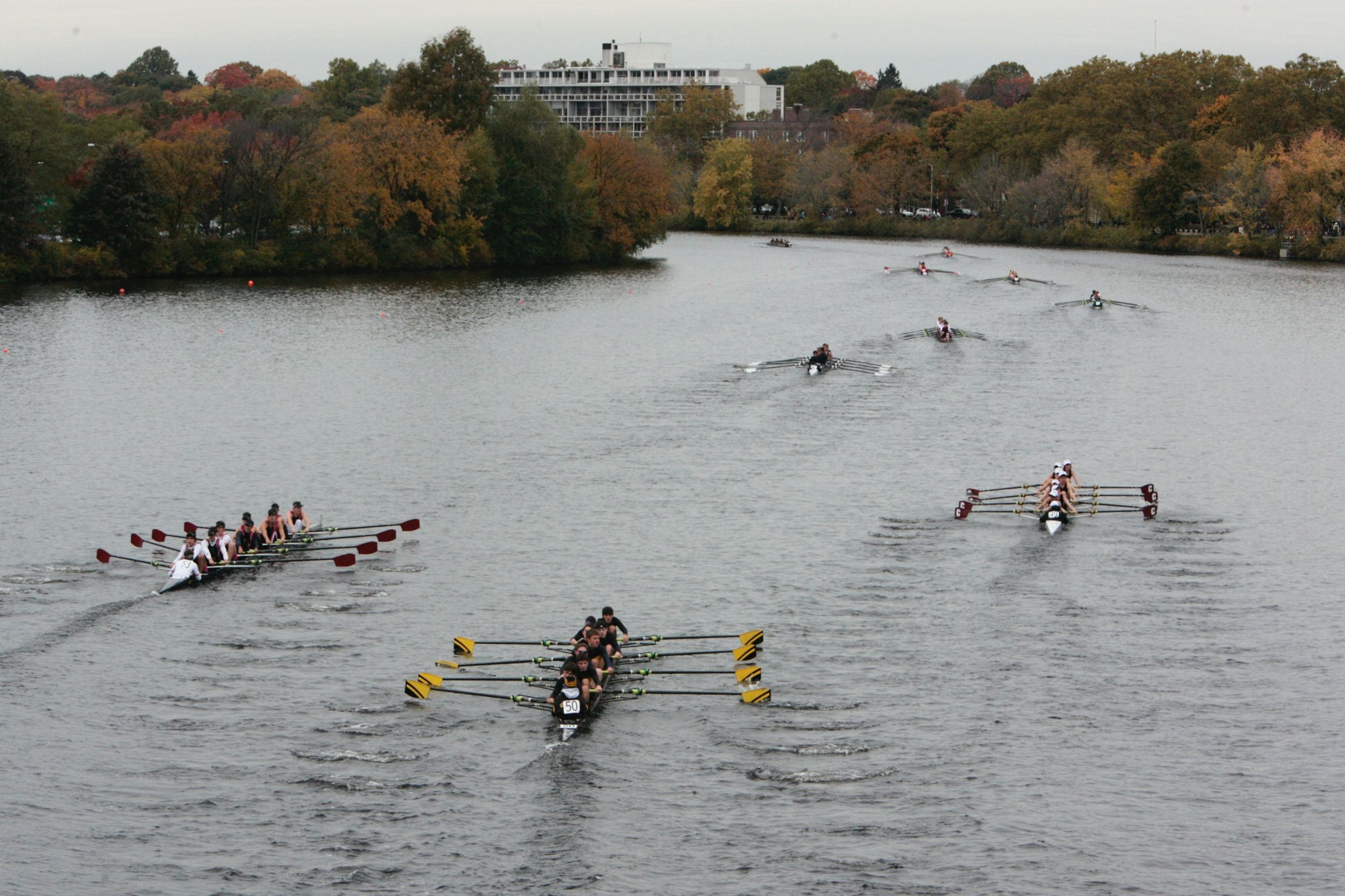 Regattas - rowing races