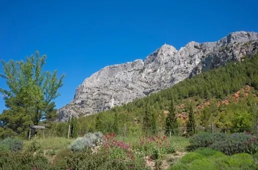 Exploring Cézanne's Country