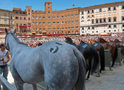 Palio di Siena