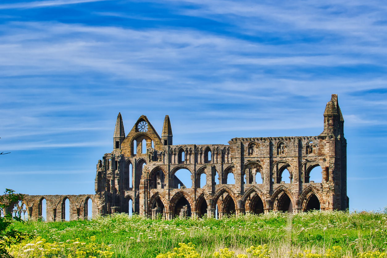 Wander & Wonder in the Yorkshire Moors